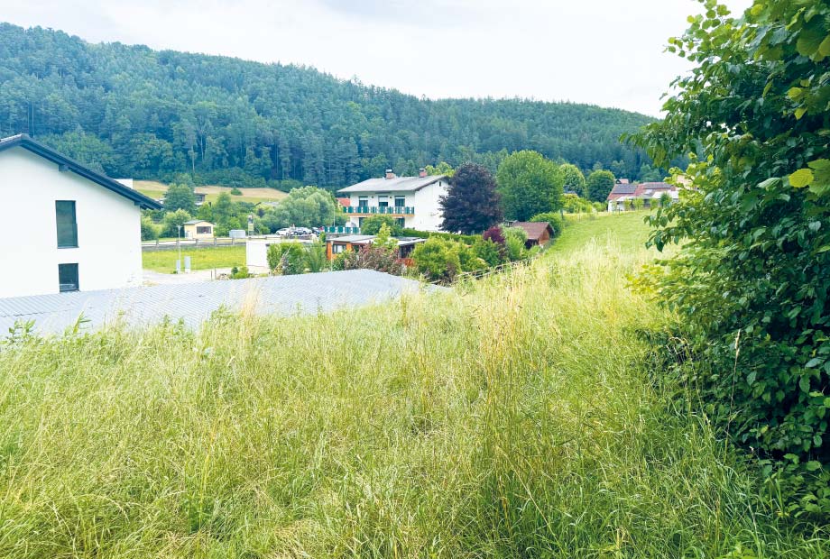 Liegenschaft Thernberg