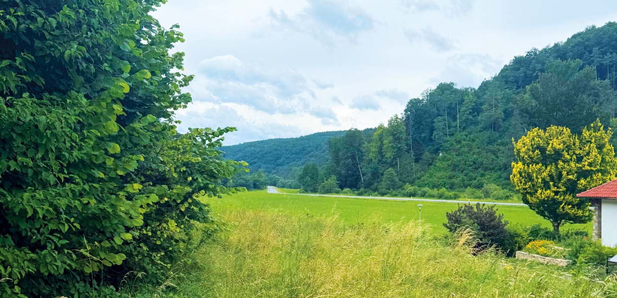 Liegenschaft Thernberg